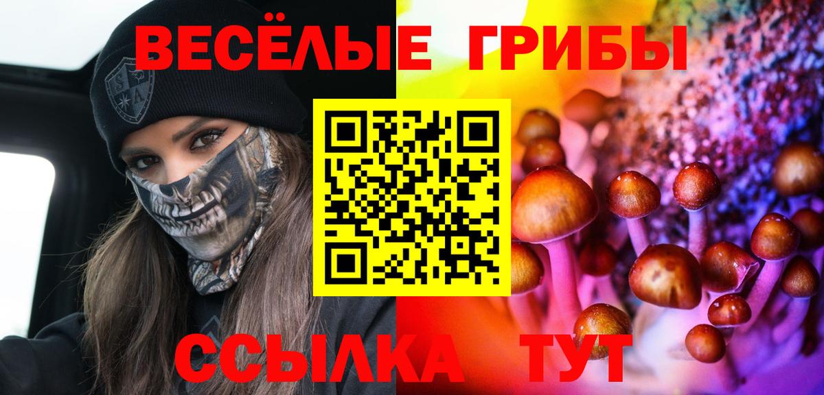 Псилоцибиновые грибы Psilocybe Наро-Фоминск