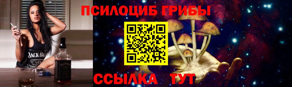 Наро-Фоминск  Псилоцибиновые грибы GOLDEN TEACHER  Галлюциногенные грибы Magic Shrooms  Вход с VPN 